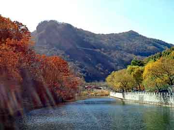 新澳天天开奖资料大全旅游团，上海吸血鬼